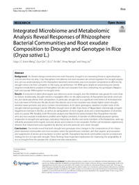 Integrated Microbiome and Metabolomic Analysis Reveal Responses of Rhizosphere Bacterial Communities and Root exudate Composition to Drought and Genotype in Rice (Oryza sativa L.)