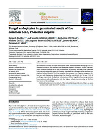 Fungal endophytes in germinated seeds of the common bean, Phaseolus vulgaris