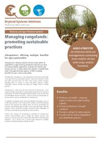 Managing rangelands: promoting sustainable shrub species: Silvopasture: offering multiple benefits for agro-pastoralists