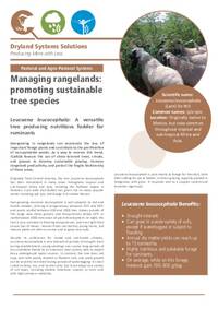 Managing rangelands: promoting sustainable tree species: Leucaena leucocephala: A versatile tree producing nutritious fodder for ruminants