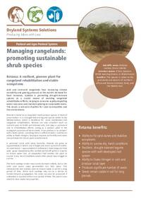 Managing rangelands: promoting sustainable shrub species: Retama: A resilient, pioneer plant for rangeland rehabilitation and stable ecosystems