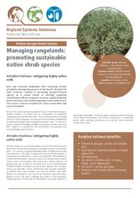 Managing rangelands: promoting sustainable native shrub species: Atriplex halimus: mitigating highly saline soils