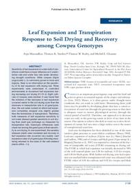 Leaf Expansion and Transpiration Response to Soil Drying and Recovery among Cowpea Genotypes