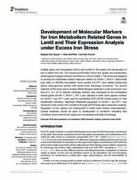 Development of Molecular Markers for Iron Metabolism Related Genes in Lentil and Their Expression Analysis under Excess Iron Stress