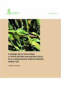 A strategic plan to revive wheat in Central and West Asia and North Africa by out-pacing Puccinia striiformis westend (yellow rust)