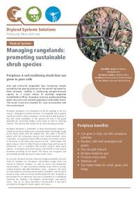 Managing rangelands: promoting sustainable shrub species: Periploca: A soil stabilizing shrub that can grow in poor soils