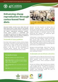 Cactusnet: Promoting the social and ecological benefits of cactus production: Enhancing sheep reproduction through cactus-based feed diets