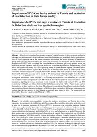 Importance du BYDV sur orge et avoine en Tunisie et évaluation de l'infection virale sur leur qualité fourragère