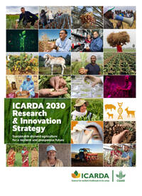 ICARDA 2030 Research & Innovation Strategy