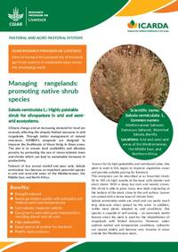 Managing rangelands: promoting native shrub species, Salsola vermiculata L.: Highly palatable shrub for silvopasture in arid and semi-arid ecosystems