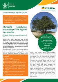 Managing rangelands: promoting native legume tree species, Ceratonia siliqua L.: an agrosilvopastoral tree