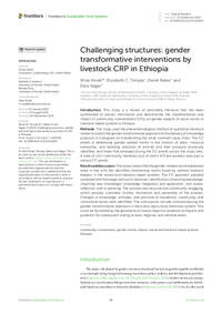 Challenging structures: gender transformative interventions by livestock CRP in Ethiopia