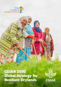 CGIAR 2030 Global Strategy for Resilient Drylands