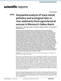 Geospatial analysis of trace metal pollution and ecological risks in river sediments from agrochemical sources in Morocco’s Sebou basin