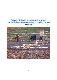 Systems approach to water productivity assessment using cropping system Models