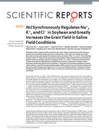 Ncl Synchronously Regulates Na+, K+, and Cl− in Soybean and Greatly Increases the Grain Yield in Saline Field Conditions