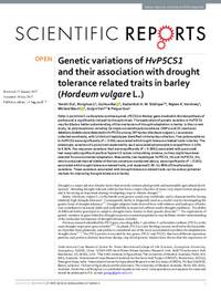Genetic variations of HvP5CS1 and their association with drought tolerance related traits in barley (Hordeum vulgare L.)