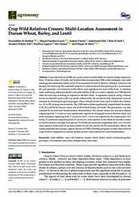 Crop Wild Relatives Crosses: Multi-Location Assessment in Durum Wheat, Barley, and Lentil