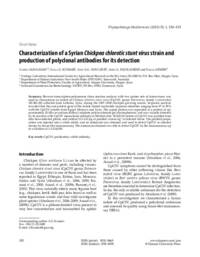 Characterization of a Syrian Chickpea chlorotic stunt virus strain and production of polyclonal antibodies for its detection