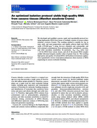 An optimized isolation protocol yields high-quality RNA from cassava tissues (Manihot esculenta Crantz)