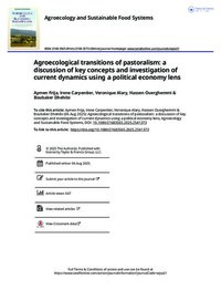 Agroecological transitions of pastoralism: a discussion of key concepts and investigation of current dynamics using a political economy lens