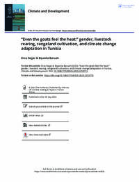 Even the goats feel the heat:” gender, livestock rearing, rangeland cultivation, and climate change adaptation in Tunisia