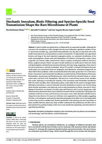 Stochastic Inoculum, Biotic Filtering and Species-Specific Seed Transmission Shape the Rare Microbiome of Plants
