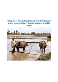 Towards sustainable and improved water productivity in the old lands of the Nile Delta