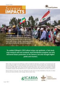 To combat Ethiopia’s 2010 wheat stripe rust epidemic, a fast-track crop research and rust-resistant seed distribution program not only delivered future protection to the farmers, but also brought higher yields and incomes.