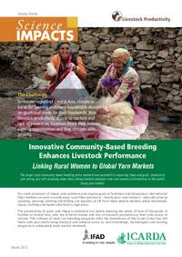 Linking Livestock Producers and Rural Women to Global Yarn Markets