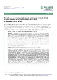 Prevalence of piroplasms in small ruminants in North-West Tunisia and the first genetic characterisation of Babesia ovis in Africa