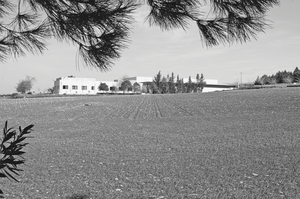 A view of ICARDA’s facilities in Tal Hadya, Syria, 2007 - Photo Credit: Cary Fowler/Crop Trust