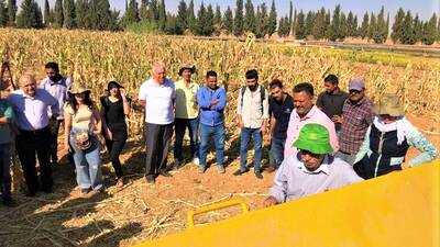 Capacity Development in Syria