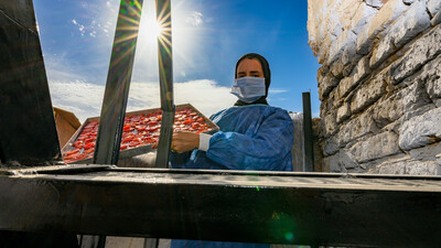 Tomato drying is one of the post-harvest processes for enhancing the crop value, better water usage, and better inclusion of female farmers in the production value chain | Qena, Egypt | Photo: Ahmed ElSheemy/ICARDA