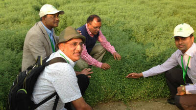 Lentils are an excellent source of nutrition.