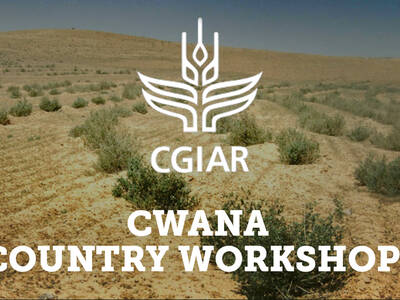 CWANA Workshops
