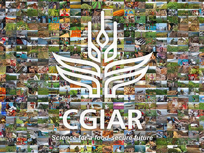 CGIAR System Council Meeting 2024 Brazil