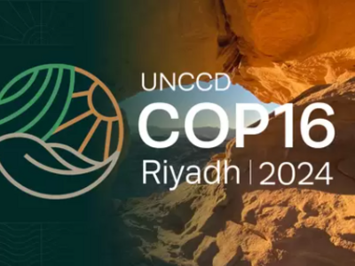 COP16 in Riyadh 2024