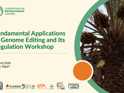 GEd Workshop E-Banner 