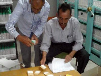 On October 1, GRS staff prepare a FIGS subset of durum wheat from ICARDA’s active collection and then dispatched to Australia.