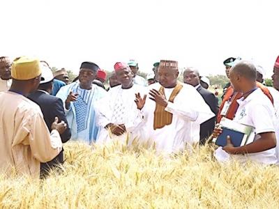 Minister for Agriculture and Rural Development and Chairman of Nigeria Senate Committee on Agriculture speaking to wheat farmers at Alkamawa
