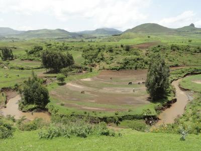 The Gumara-Maksegnit watershed in northwest Ethiopia