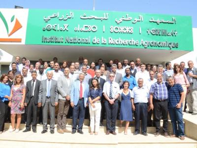 Workshop on Adoption, Impact and Seed System of Wheat in Morocco