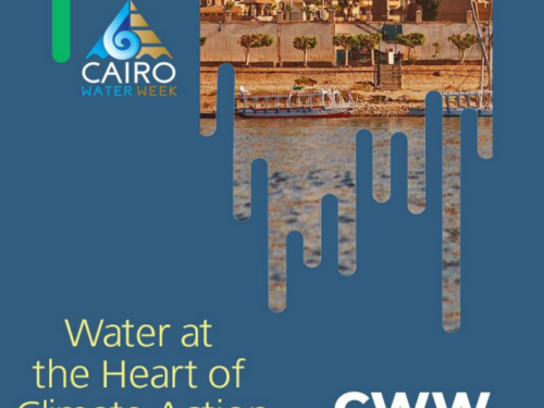 cairo water week 