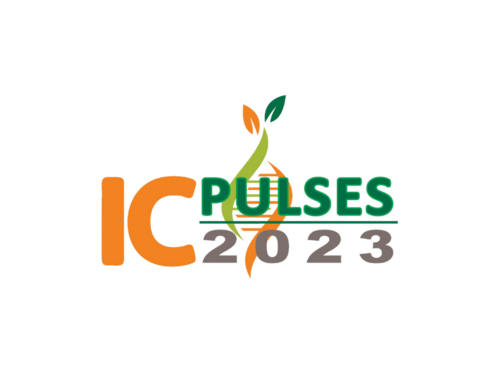 ICPulses 2023