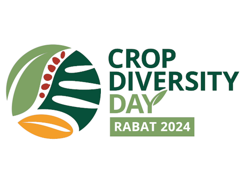 Crop Diversity Day Rabat 2024