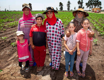ICARDA’s family farming research helps improve rural community incomes