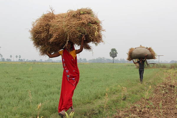 Female farmer in India