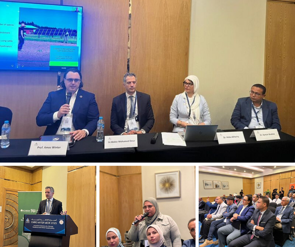 Green Transitions for Sustainable Agriculture in MENA