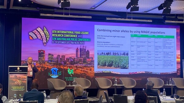  Dr. Maalouf delivering his talk on enhancing protein content in faba bean